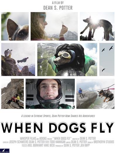 When Dogs Fly